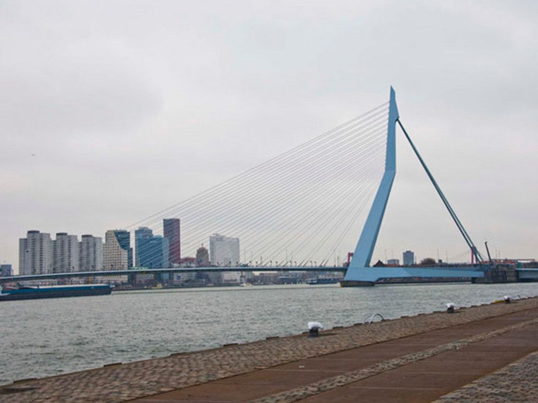 2010_Rotterdam_Erasmusbrug.cropresize.3.cropresize.tmp.JPG