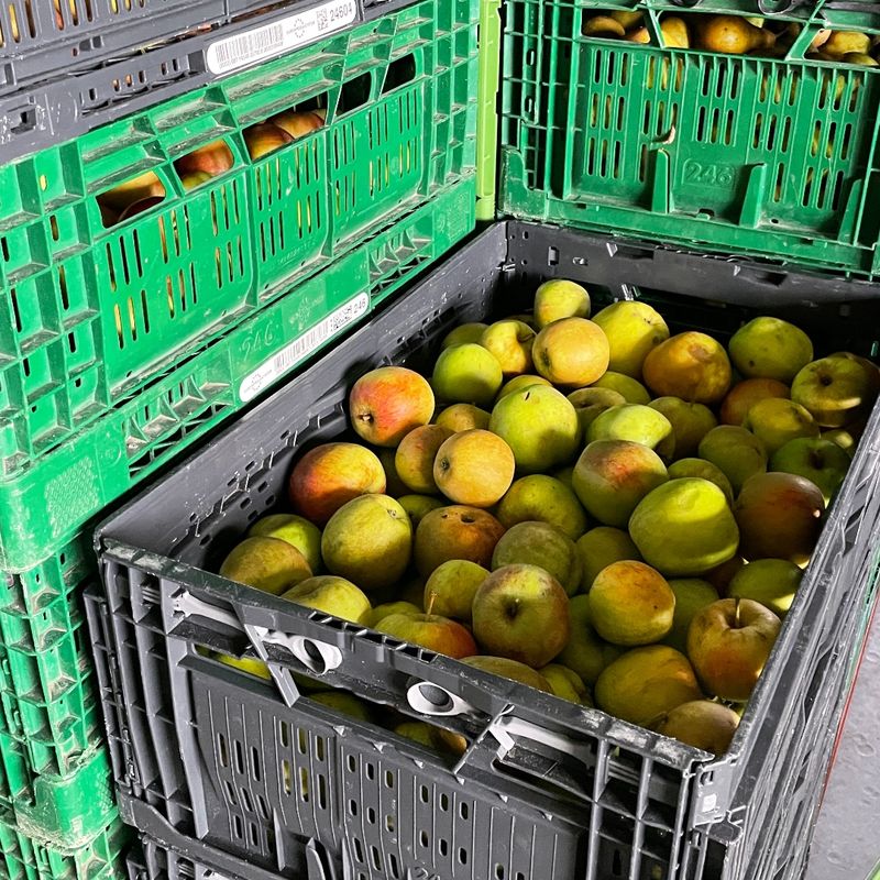 De nieuwe voedselbank in Zuidoost-Groningen heet Stadswolde: ‘We zetten ...