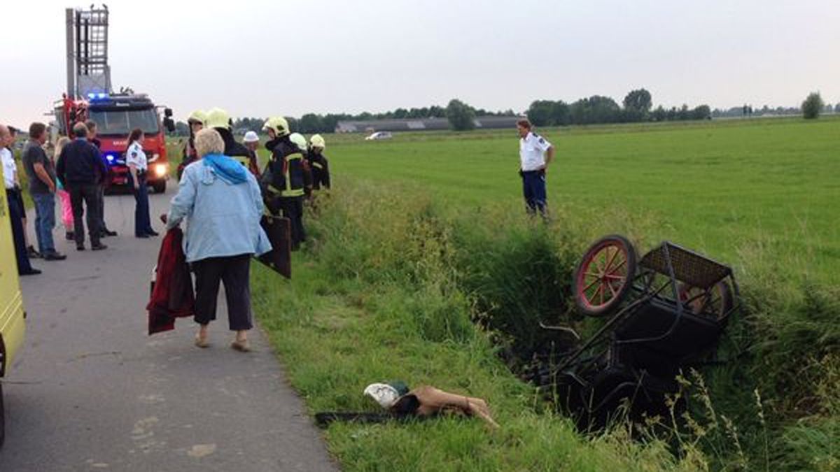 Paard en wagen belanden in sloot bij Holwierde