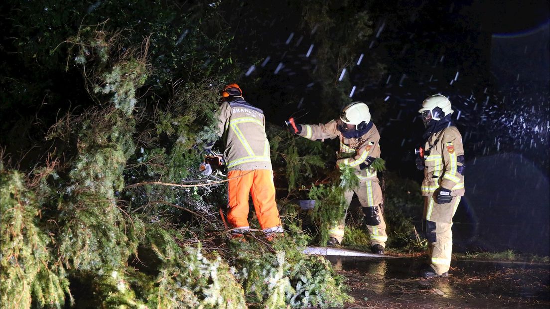 Boom op de weg in Daarleveen