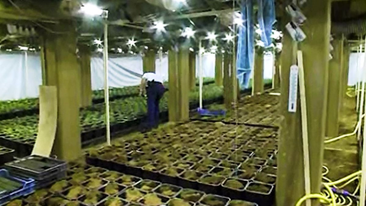 Wietplantage in oud pompstation Herkenbosch