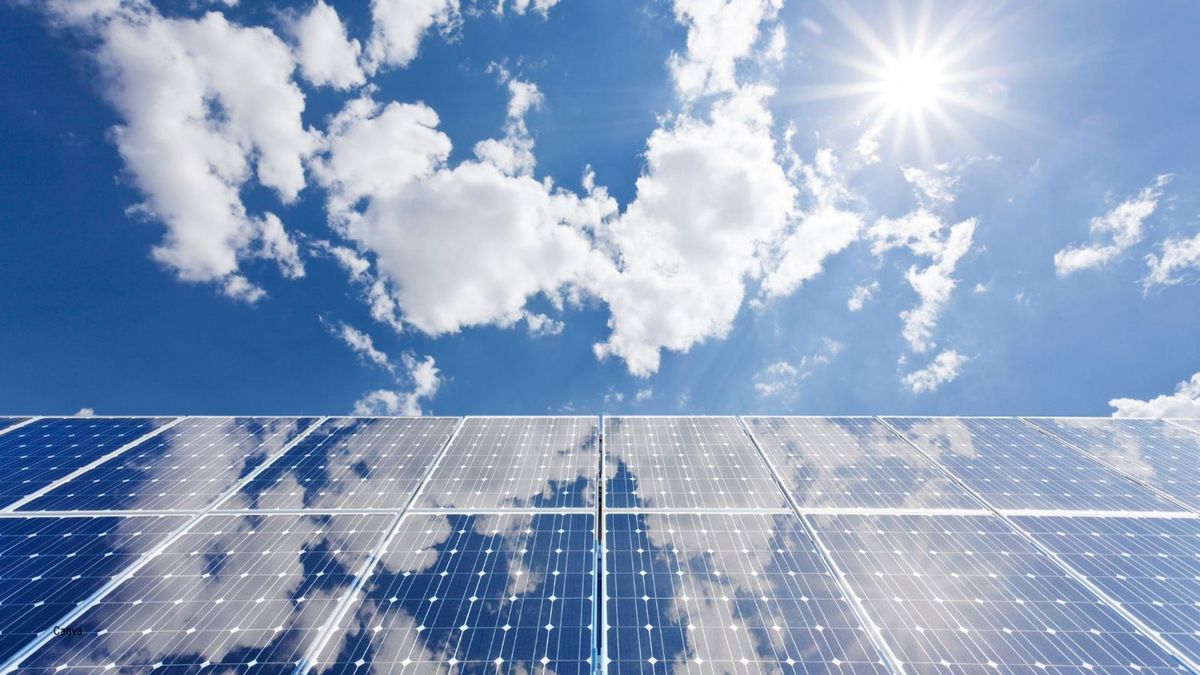 Forse vertraging voor zonnevelden bij Rilland: ontwikkelaars te laat met subsidieaanvraag