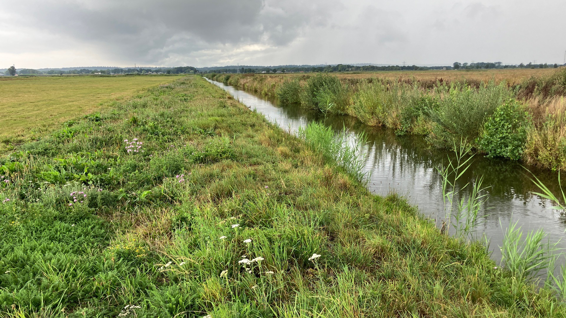 Waterschap grijpt weer in, nu om onherstelbare schade te voorkomen