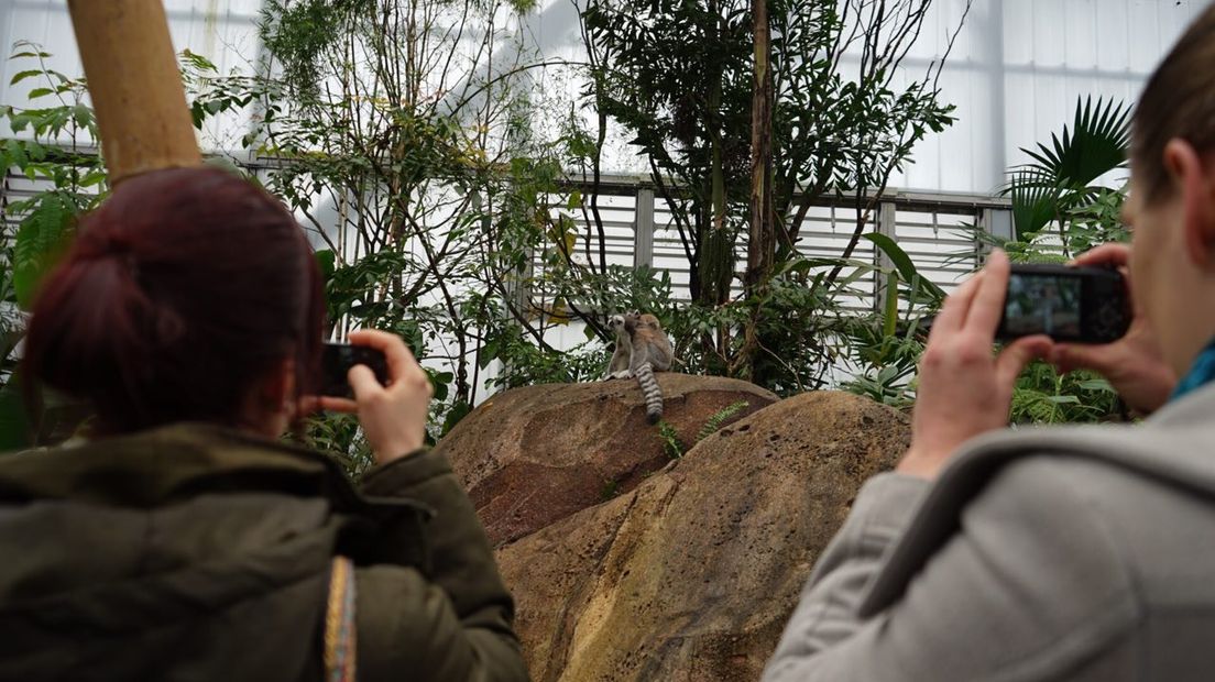 Dieren op de foto zetten (Rechten: RTV Drenthe / Kim Stellingwerf)