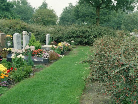 90 graven vernield op Utrechtse begraafplaats: 'Gewoon kansloos'