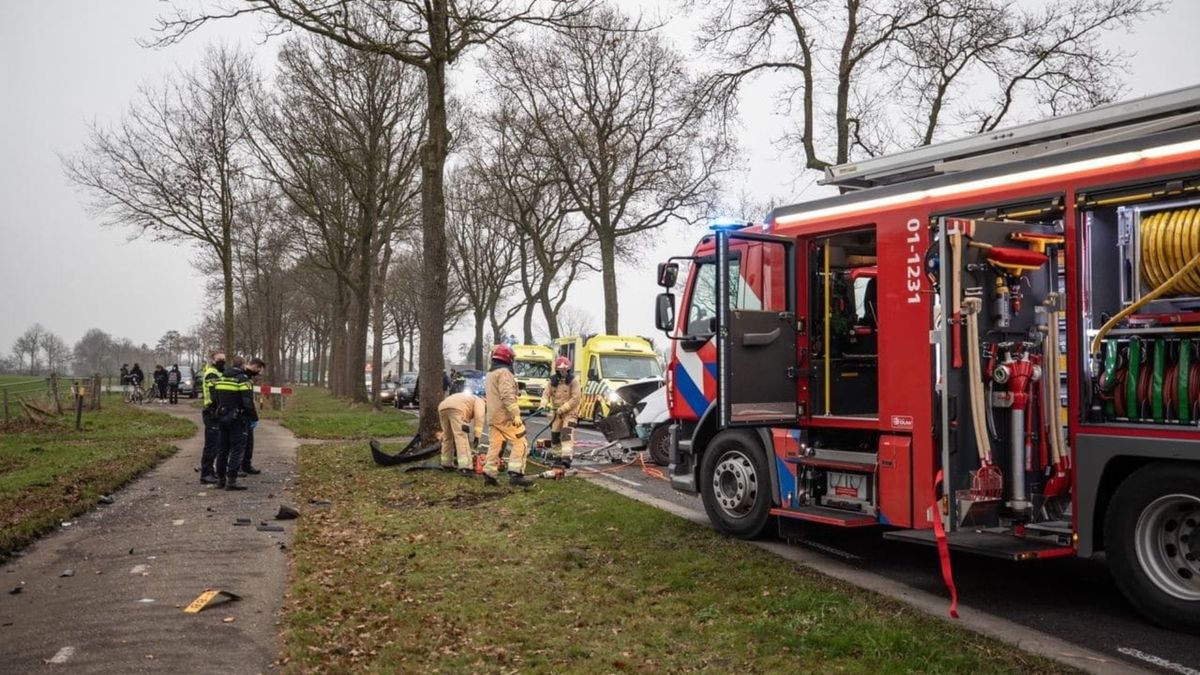 Busje botst tegen boom bij Oldekerk; drie gewonden