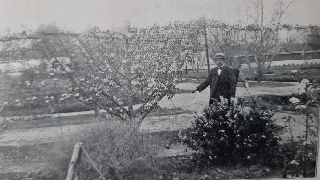 perenallee Frederiksoord