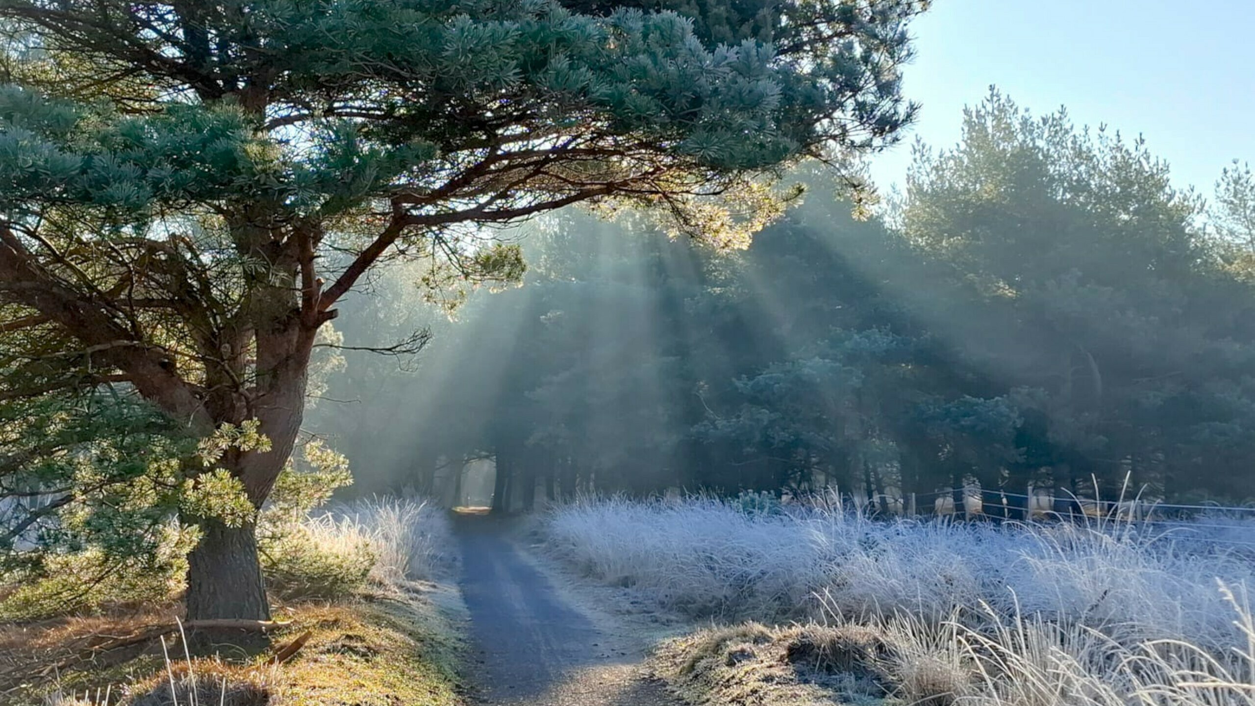 Wat is het verschil tussen de werkelijke temperatuur en de gevoelstemperatuur?