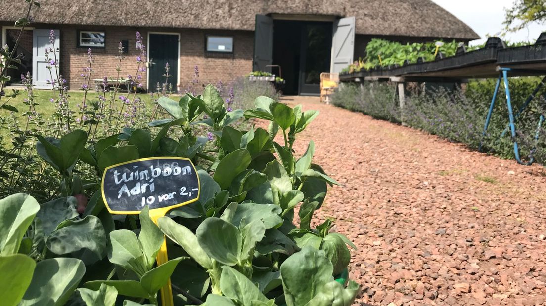 De plantjesmarkt is vervangen voor een marktstand bij de ingang van de tuin