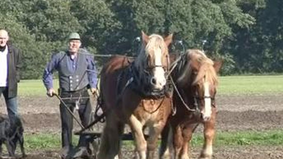 Jos van Haperen wint ploegwedstrijden Orvelte