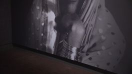 Na twee keer uitstel geen afstel: Drents Museum opent eindelijk expositie over Amritha Sher-Gil