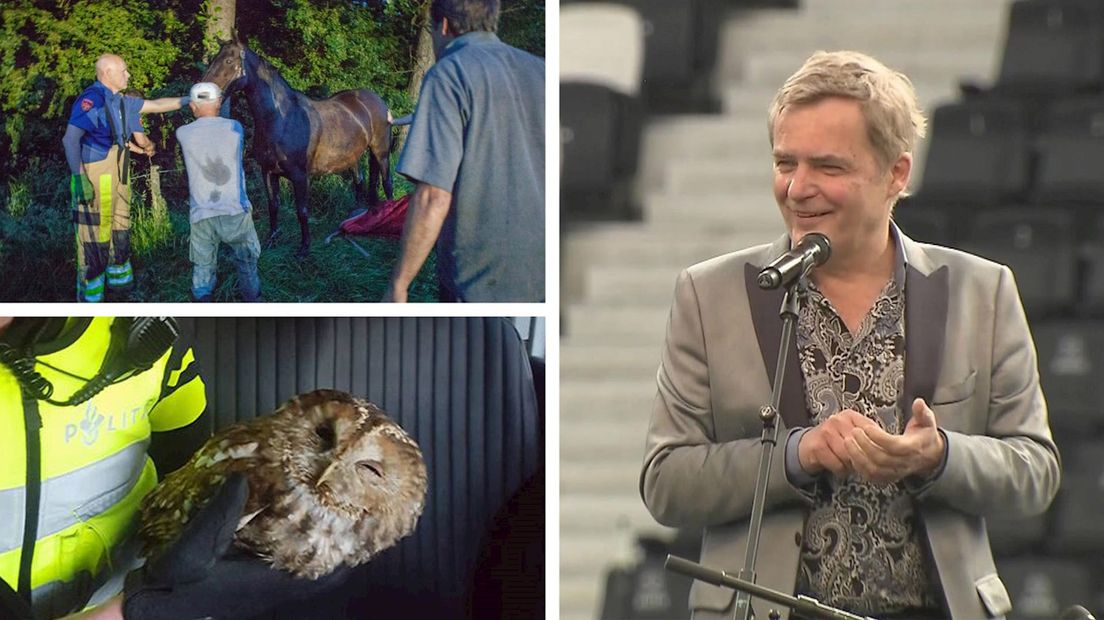 Het goede nieuws van afgelopen week