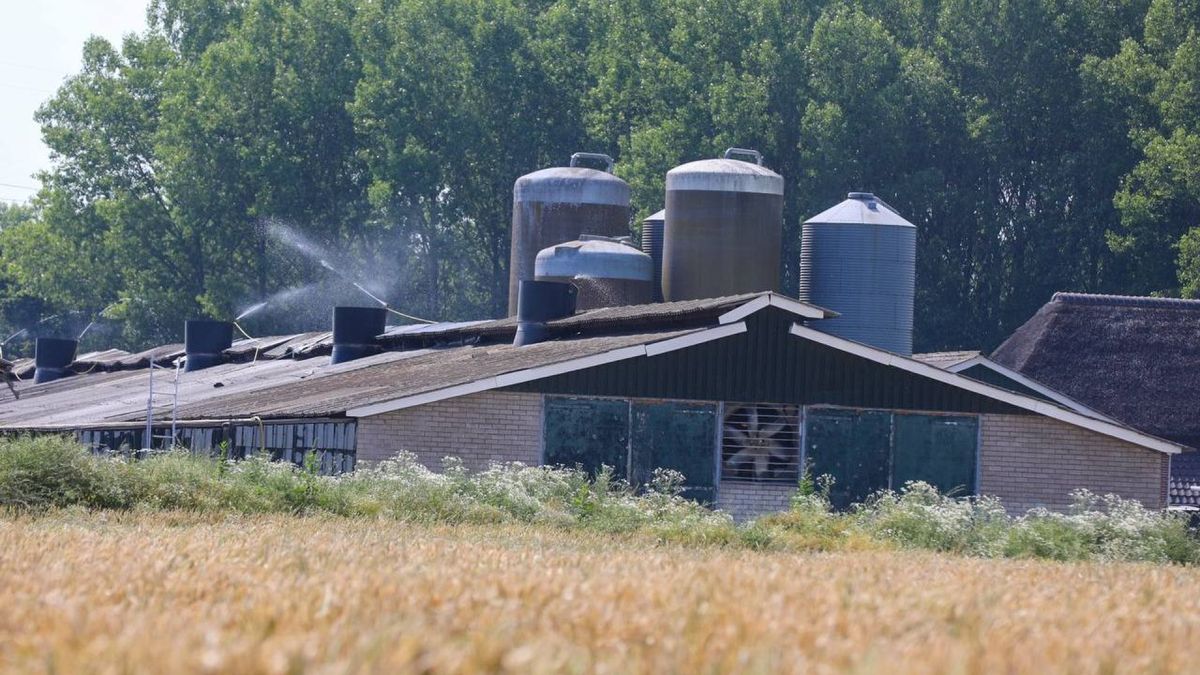 Stal met kuikens raakt oververhit: brandweer helpt boer met koelen