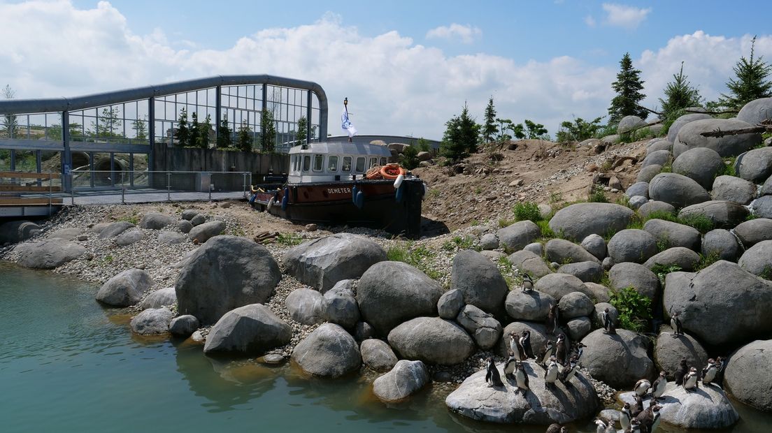 Pinguïns en bezoekers komen elkaar straks tegen op een oude sleepboot (Rechten: Wildlands)