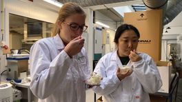 Deze studenten eten liters ijs voor de wetenschap