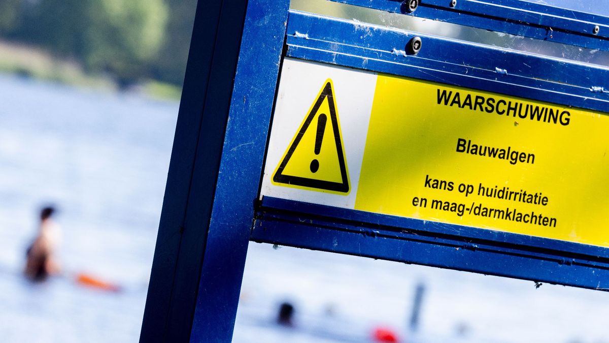 Zwemmers hebben geluk: weinig blauwalg voor deze tijd van het jaar