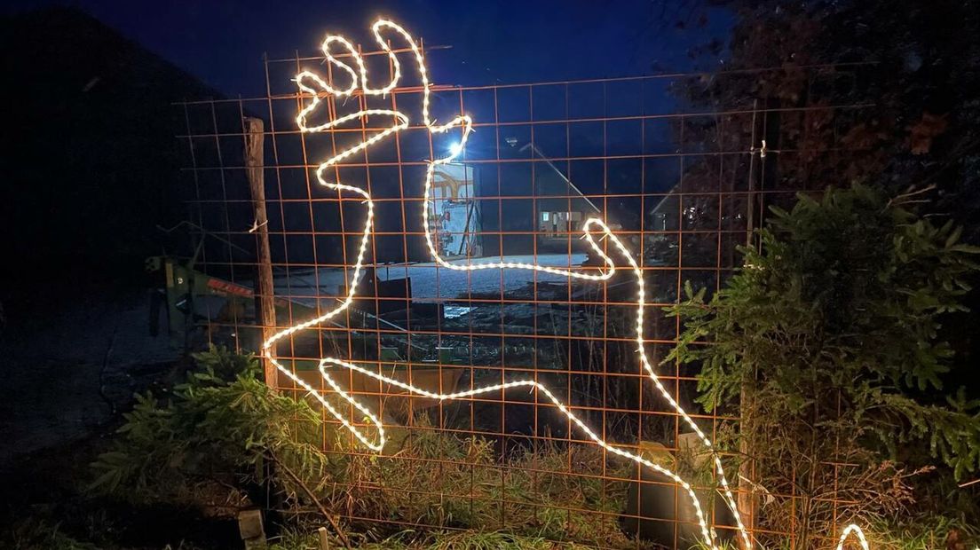 Met de auto door prachtig verlichte stallen tijdens derde Lichtjesroute Met de auto door prachtig verlichte stallen tijdens derde Lichtjesroute