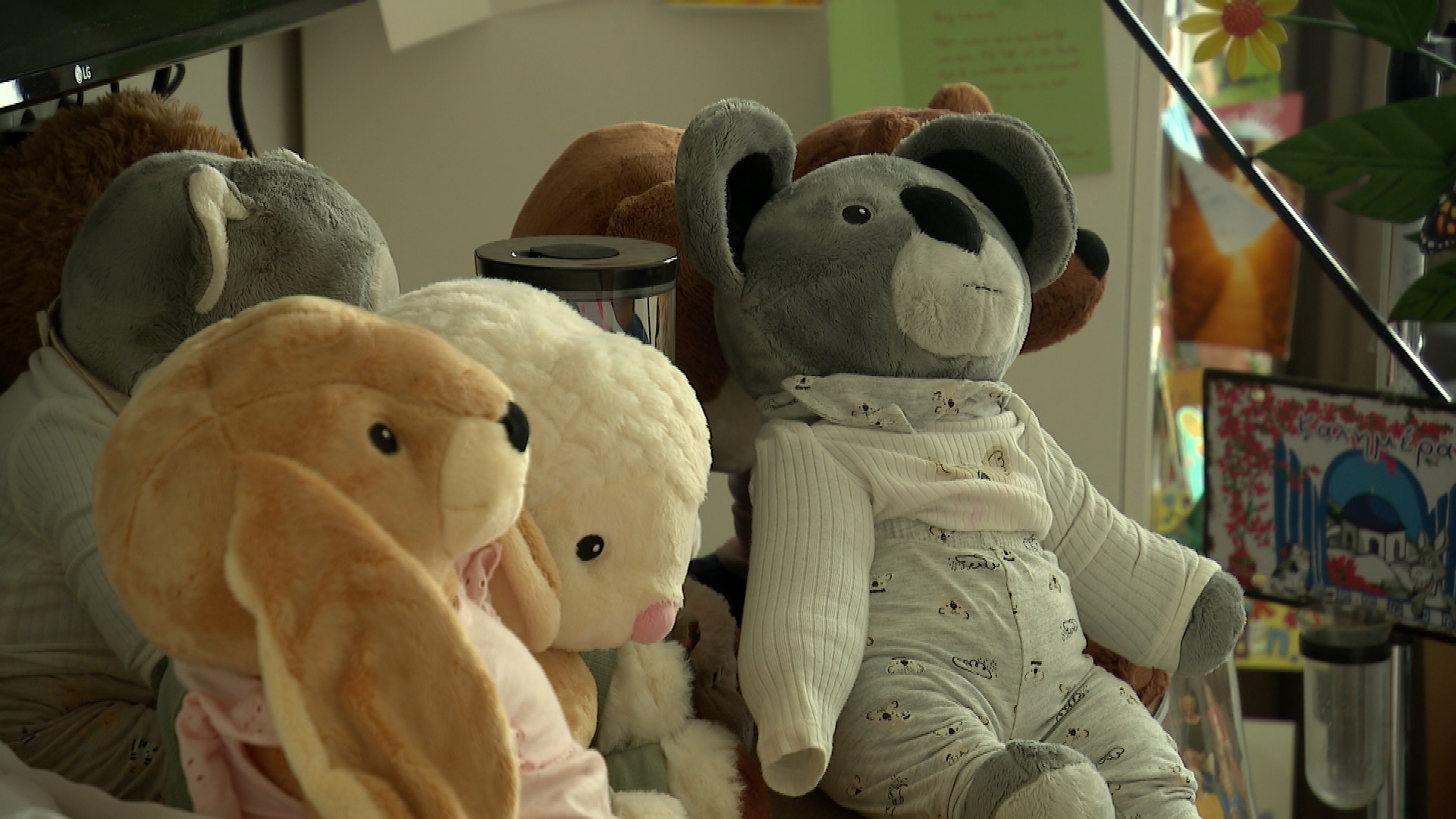 Veel knuffels op haar kamer van vrienden en familie