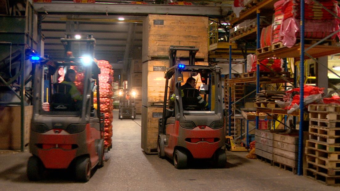 In de oude fabriek vliegen de heftrucks je om de oren