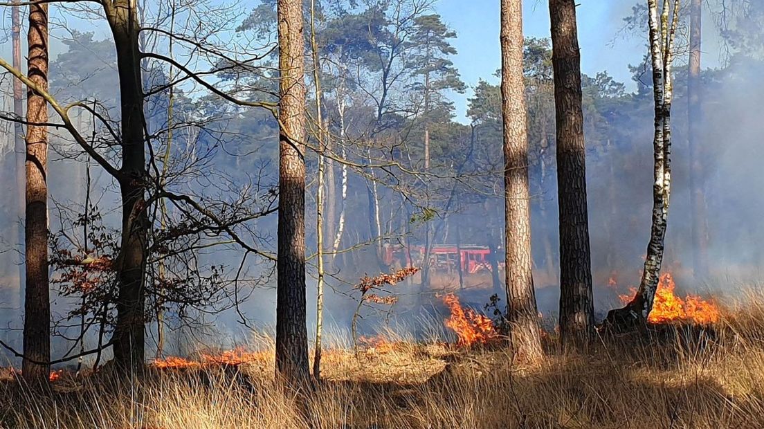 Een brand bij Alteveer afgelopen week