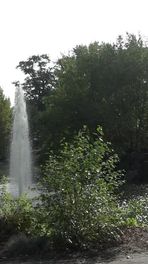 Nashi Torbu in Amerika