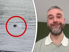 L: De zeehond in het Boerengat, R: Aleksandar.