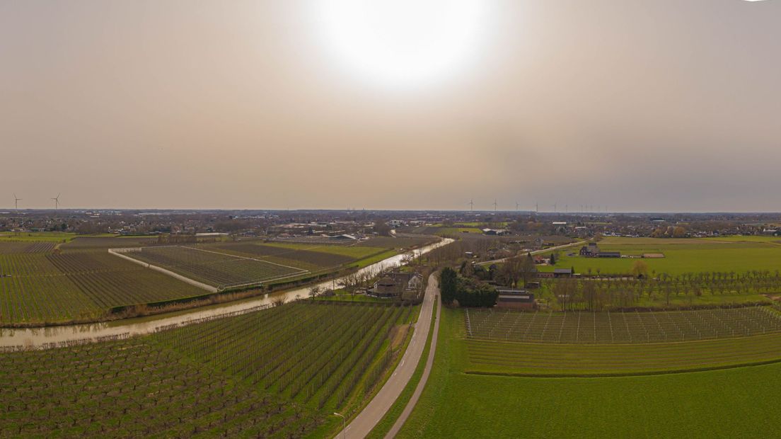 Een flets zonnetje.