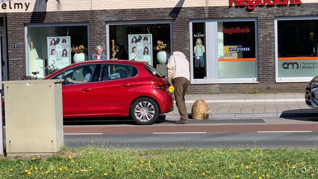 Na een half uurtje werden de bijen verwijderd (Rechten: Marcel Rensink)