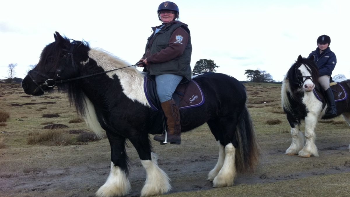 Uitstel Hondsrugse Ruiterdagen Bronneger