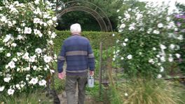 Tonnie helpt wilde dieren in z'n eigen natuurtuin