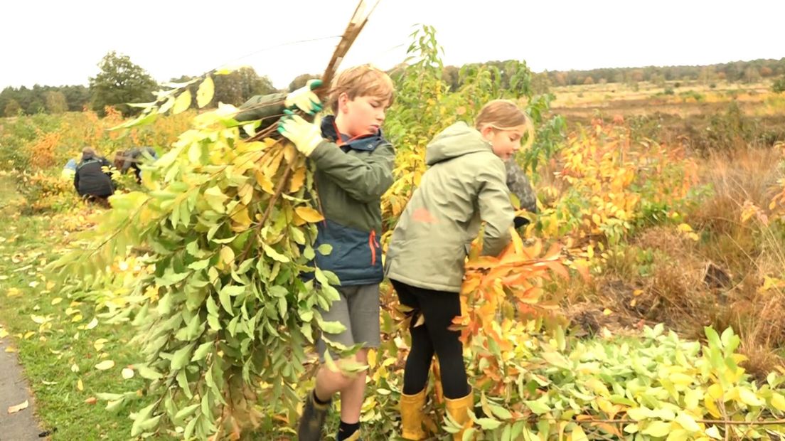Klussen op de hei in Hoenderloo