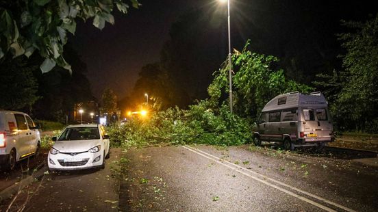 Apeldoornseweg in Arnhem afgesloten door omgevallen boom