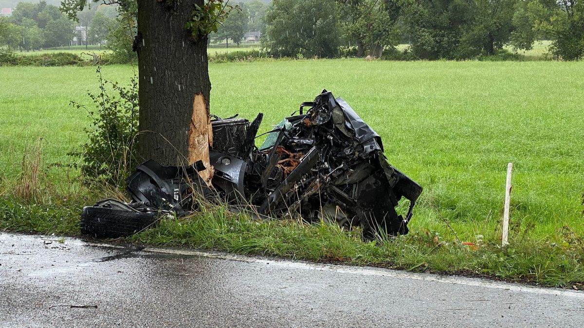 Man (66) komt om bij eenzijdig ongeluk in Wijlre
