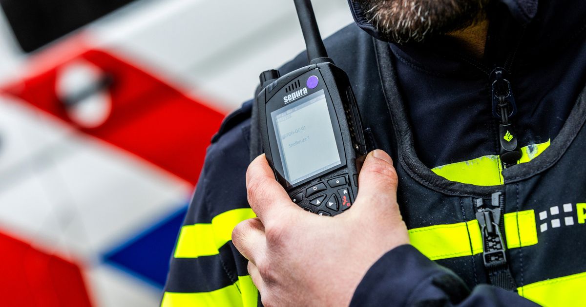 Driedubbele mishandeling en autodiefstal