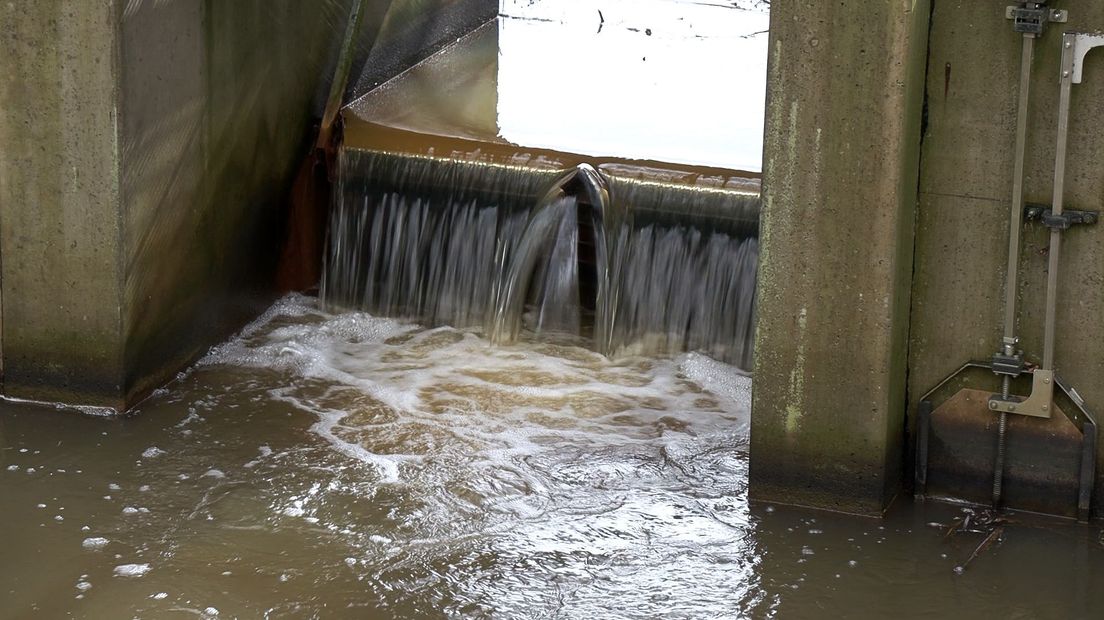 Er valt heel wat te kiezen in het stemhokje voor de waterschapsverkiezingen