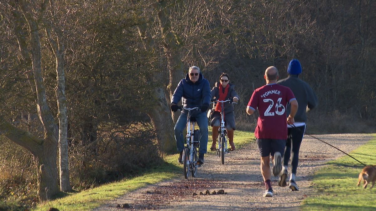 Fietspad tussen Renesse en Burgh-Haamstede wordt aangepakt: 'Het is nu echt niet veilig meer'