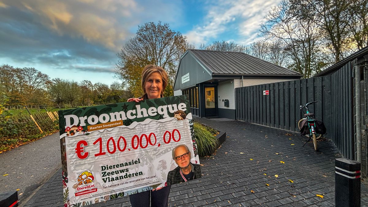 Dierenasiel in Terneuzen wint geldprijs voor verbouwing: 'Komen nu elke maand een stukje tekort'