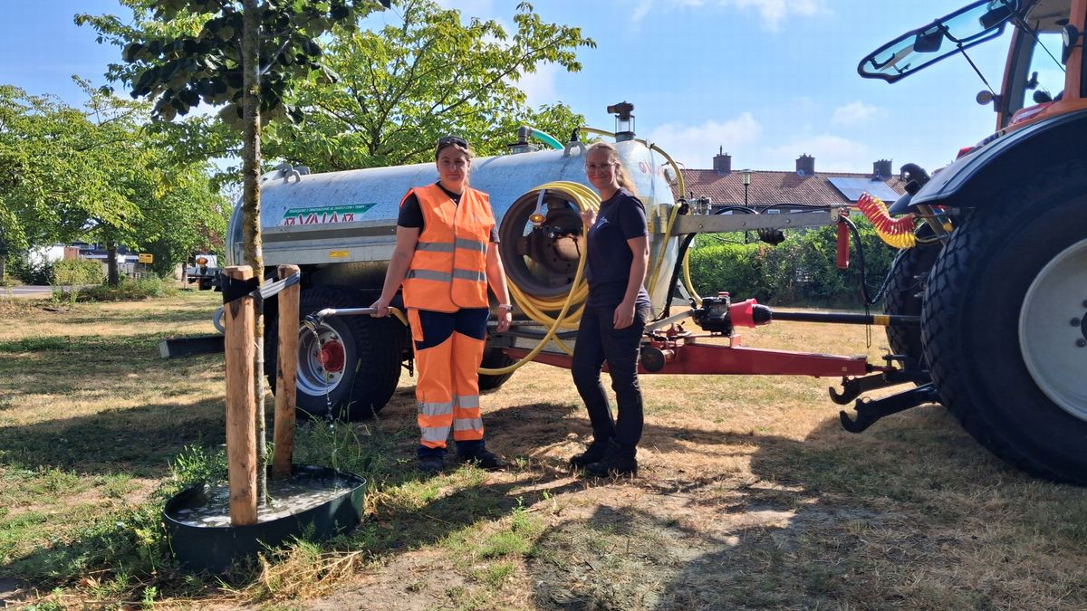 12.000 liter water per dag voor jonge bomen en planten in Terneuzen