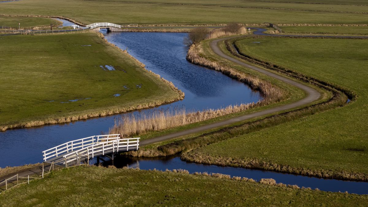 Oplossing voor conflict tussen boeren en gemeente: 'Risico accepteren'