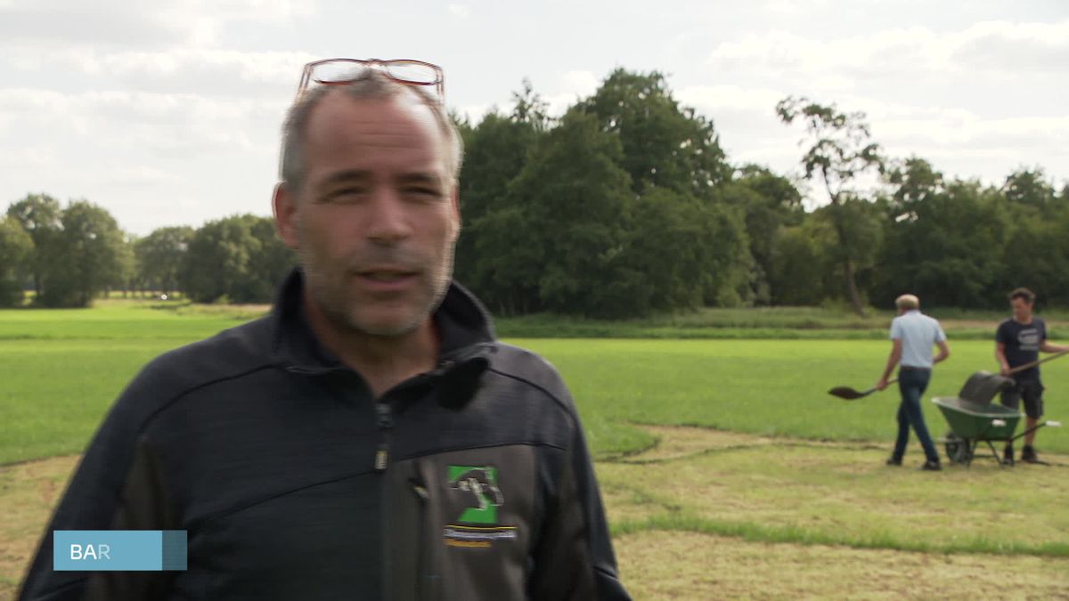 Mega EK-kunstwerk in weiland Zwiggelte