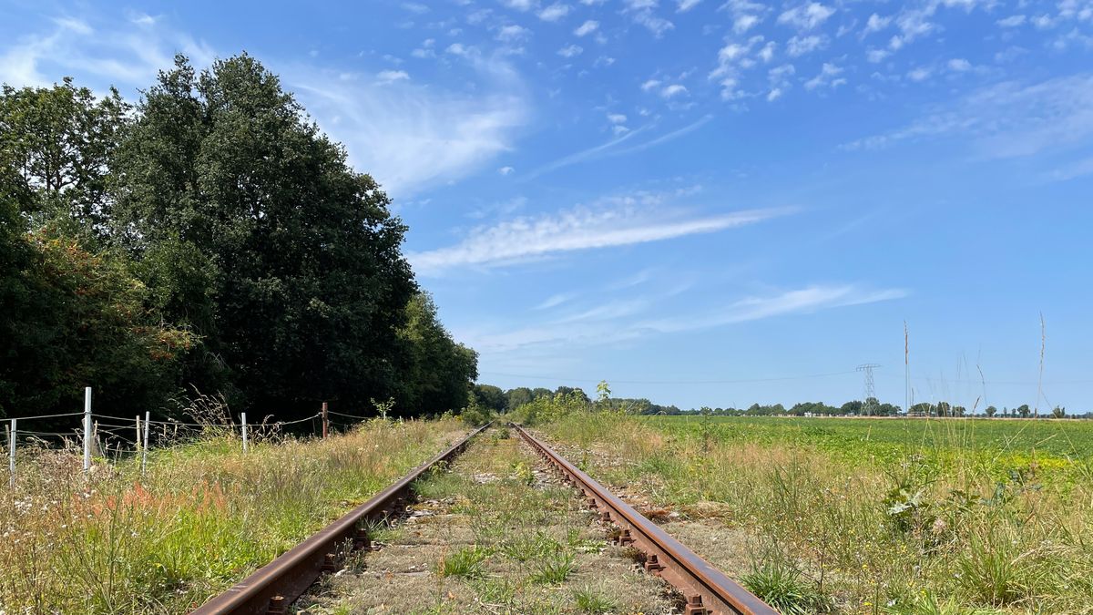 Drenthe ontsnapt aan bezuinigingen: kabinet trekt toch geld uit voor spoor en snelwegen