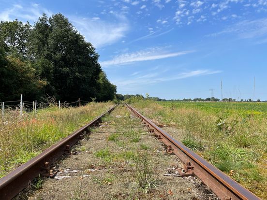 Nedersaksenlijn nog lang niet zeker, maar eerste opties vallen af