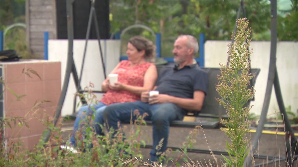 Al vier jaar ruzie in Peize over achttien perenbomen