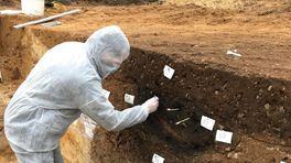 DNA-onderzoek in Romeinse resten van Heerlen
