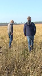 Meer boeren zorgen voor natuur