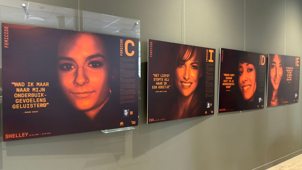 Expositie over femicide in Dokkum: 