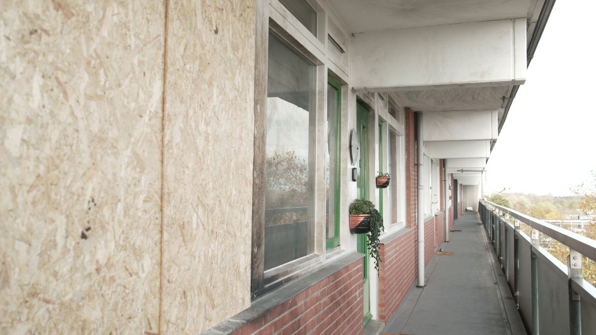 Buurten in Enschede en Zwolle opgeschrikt door explosies: 'Onveilig gevoel'