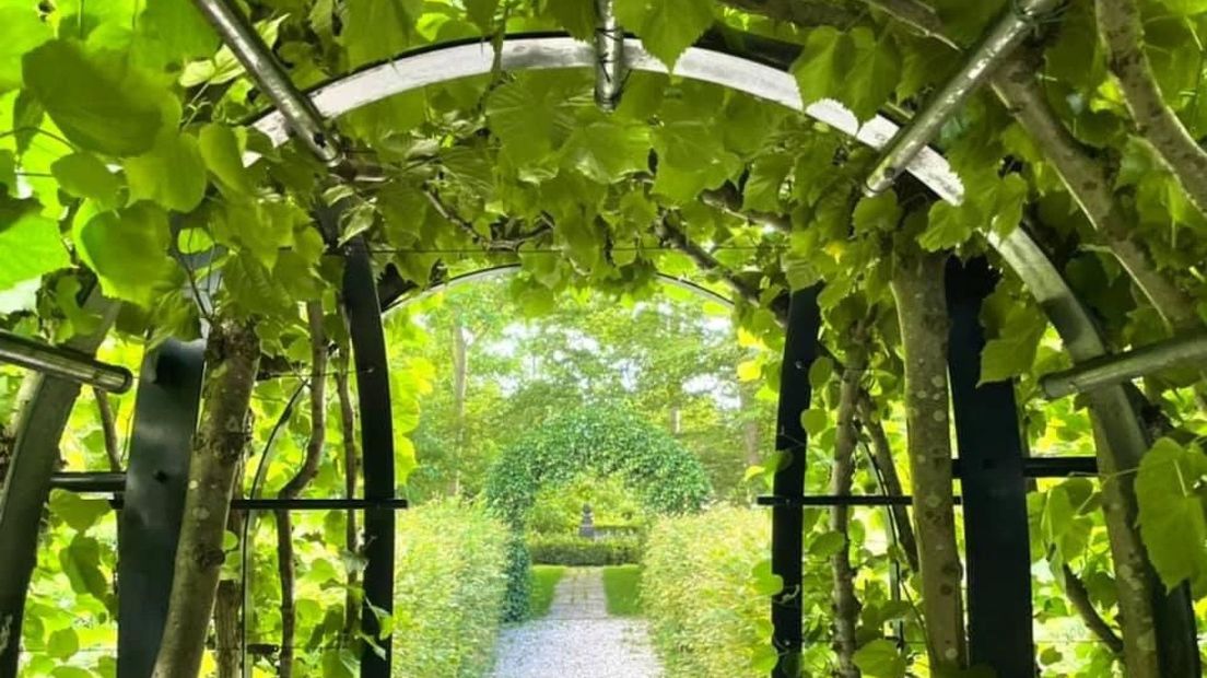 Boerhaavetuin