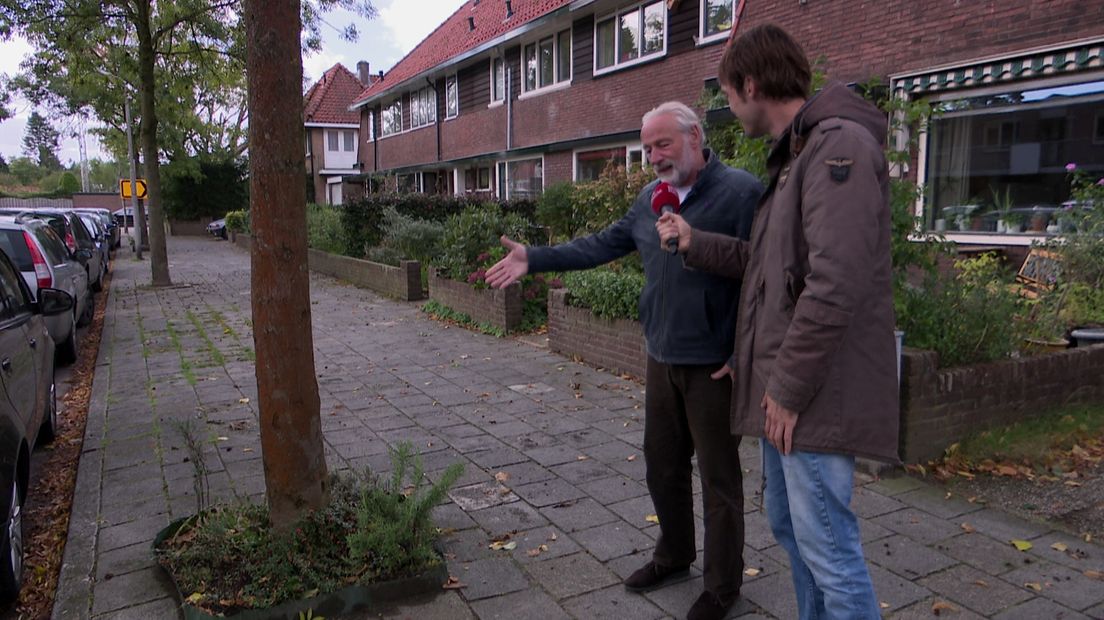 Boomspiegeltuintje in de Dollardstraat