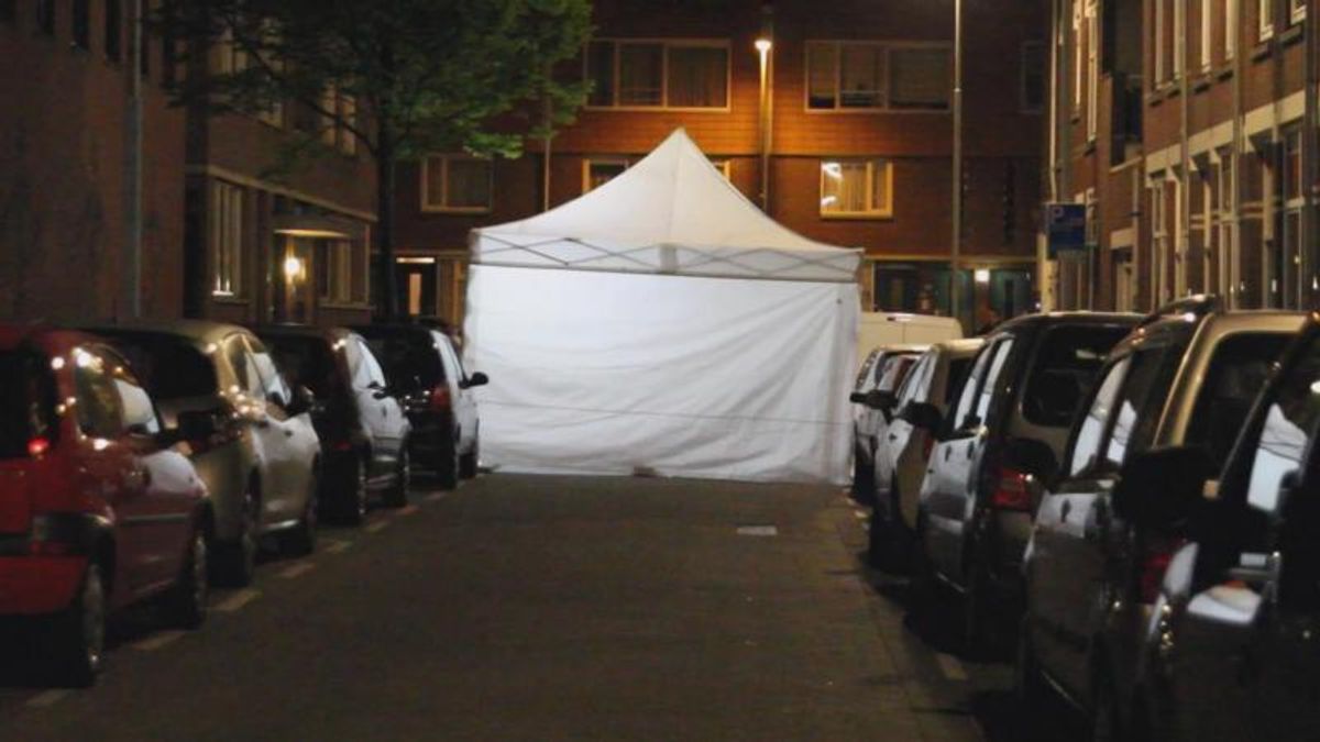 Zeven jaar cel dodelijke steekpartij Delfshaven